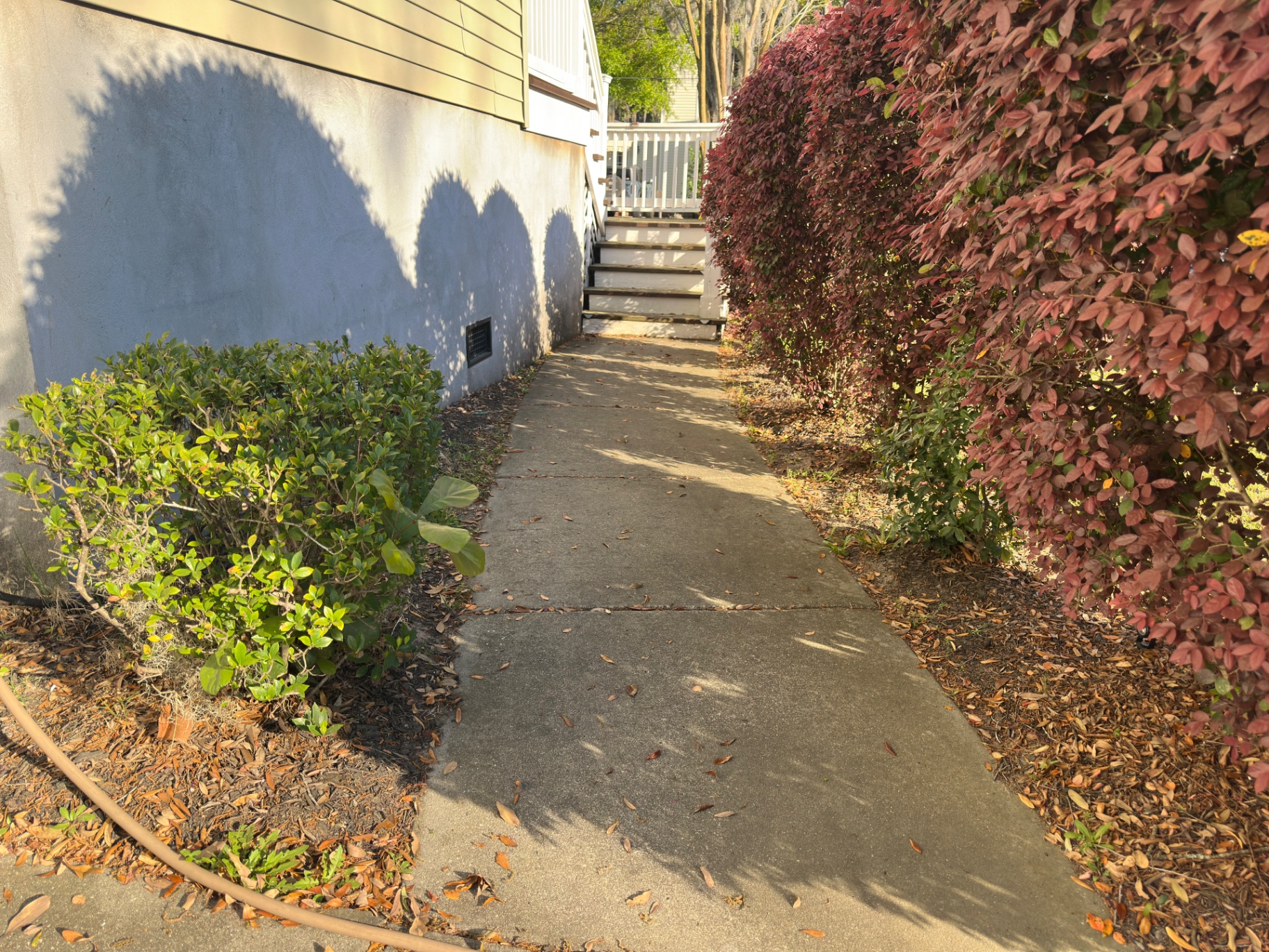 Walkway Cleaning before cleaning